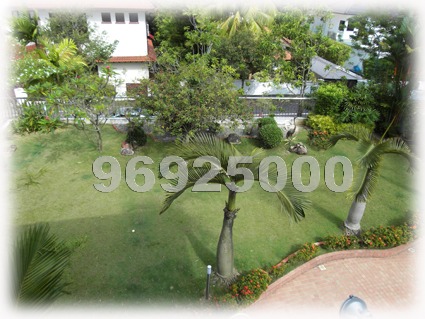 Garlick Avenue (D10), Detached #769562